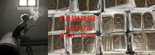 мяу мяу мука Алзамай
